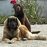 Au Coeur De