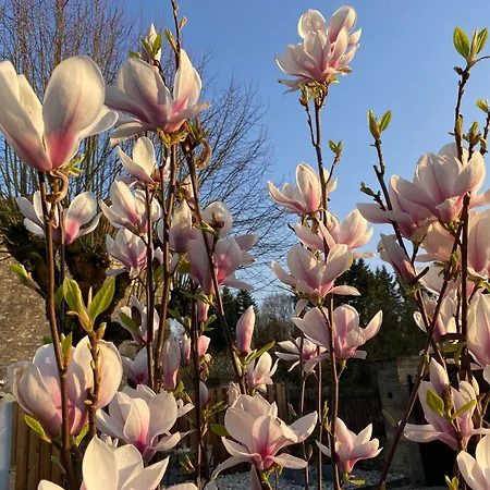 Au Coeur De Holiday home *