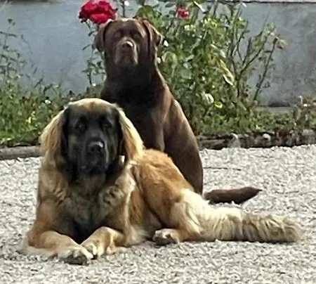 Au Coeur De