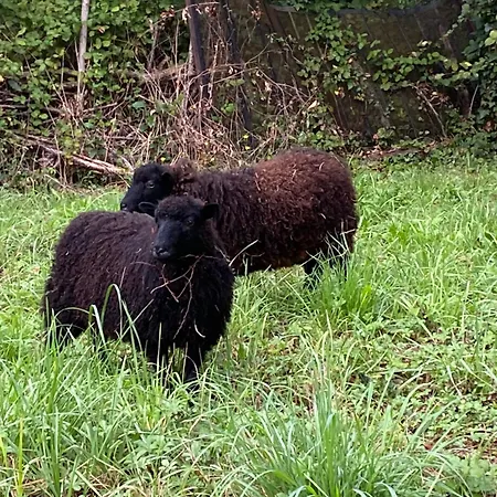 Au Coeur De Holiday home