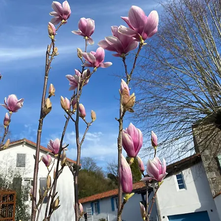 Holiday home Au Coeur De